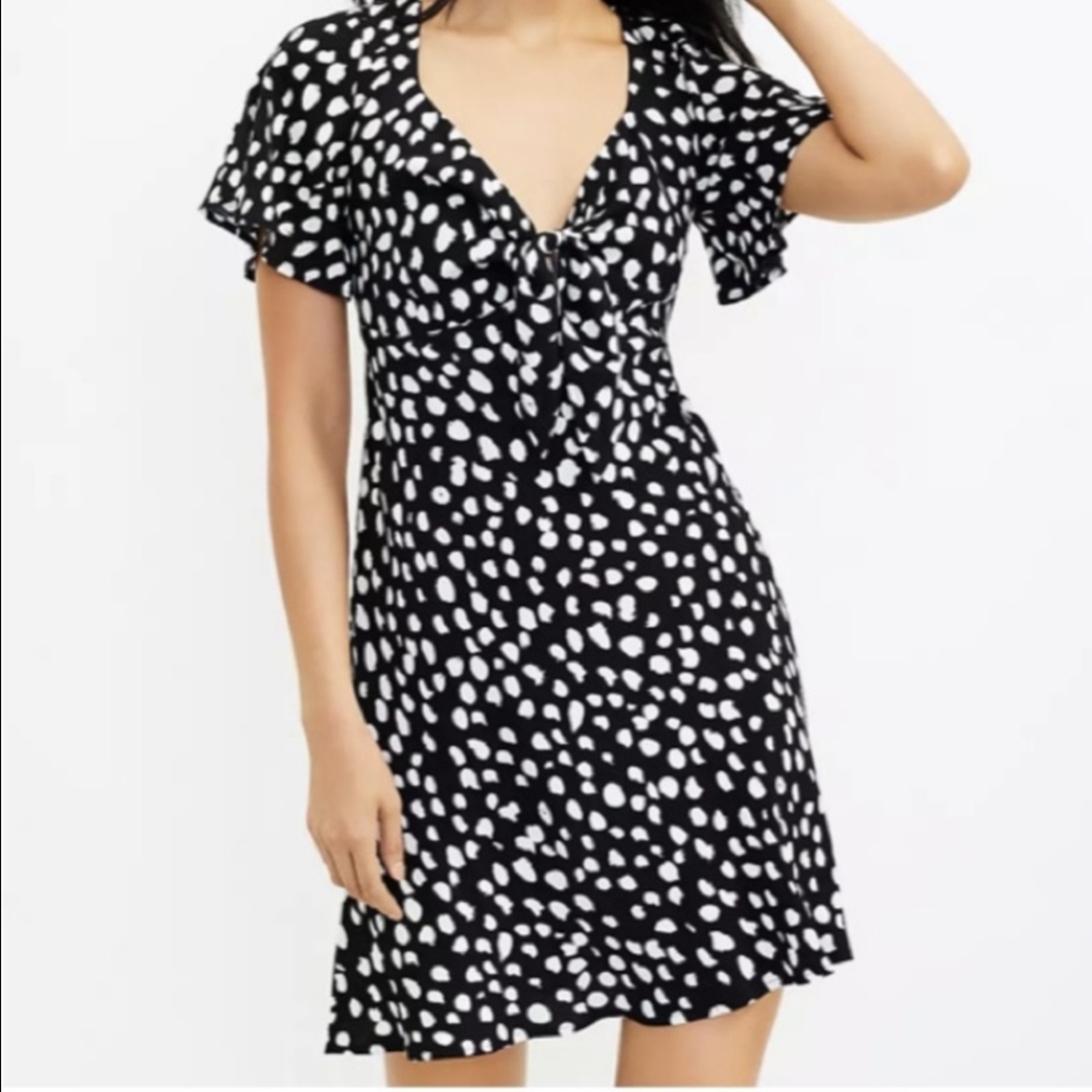 NWT Dress from The Loft